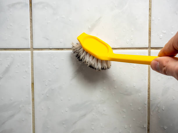Best Attic Mold Removal  in Whispering Pines, NC