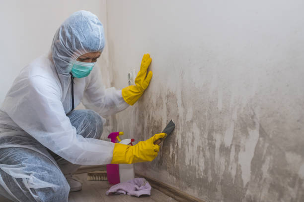 Best Crawl Space Mold Removal  in Whispering Pines, NC