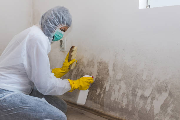 Best Office Mold Removal Services  in Whispering Pines, NC