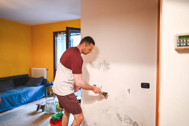 Whispering Pines, NC Mold Removal Company